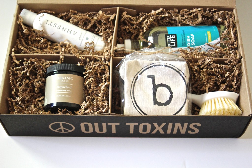 November Back To Basics Box. Peace Out Toxins!