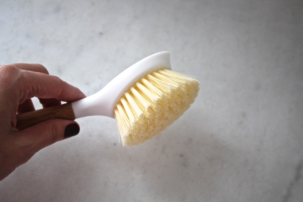 Back To Basics Box: Full Circle Dish Brush