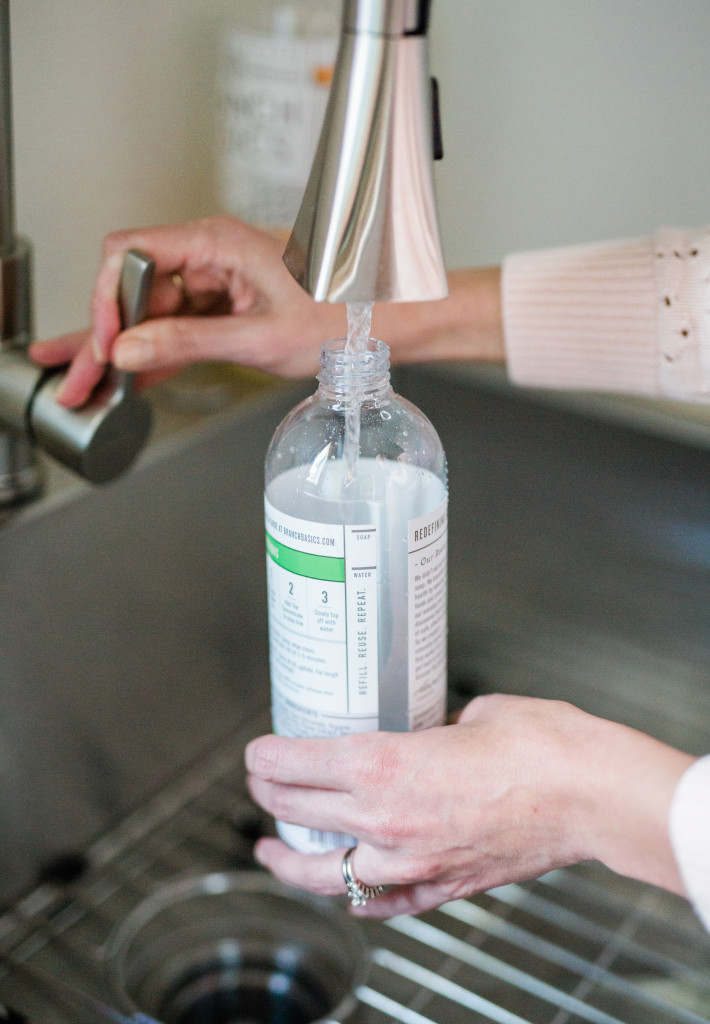 Branch Basics Review