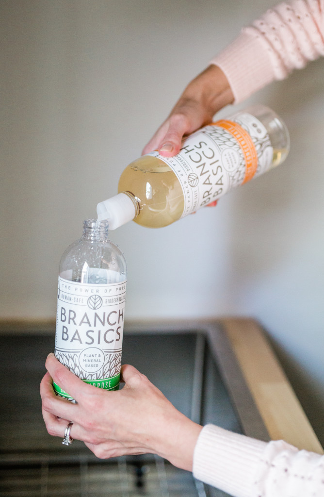 Branch Basics Review