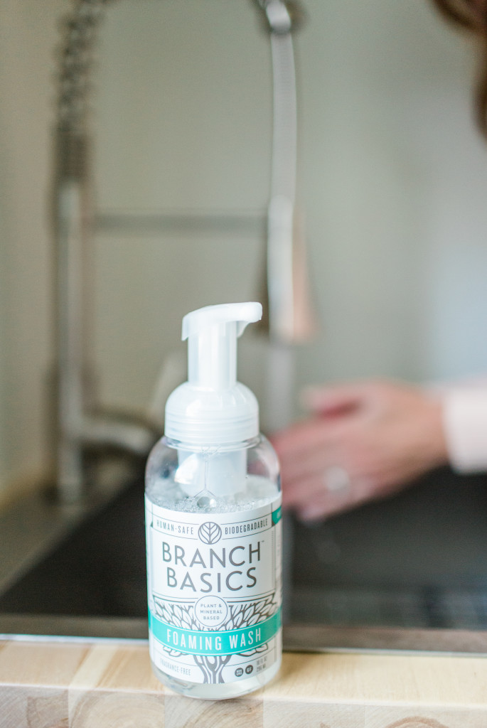 Branch Basics Review