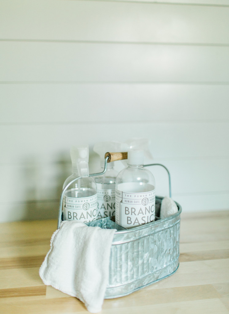 Branch Basics Review