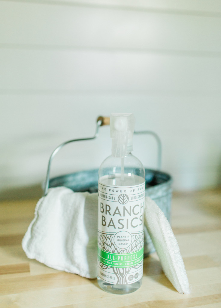 Branch Basics Review