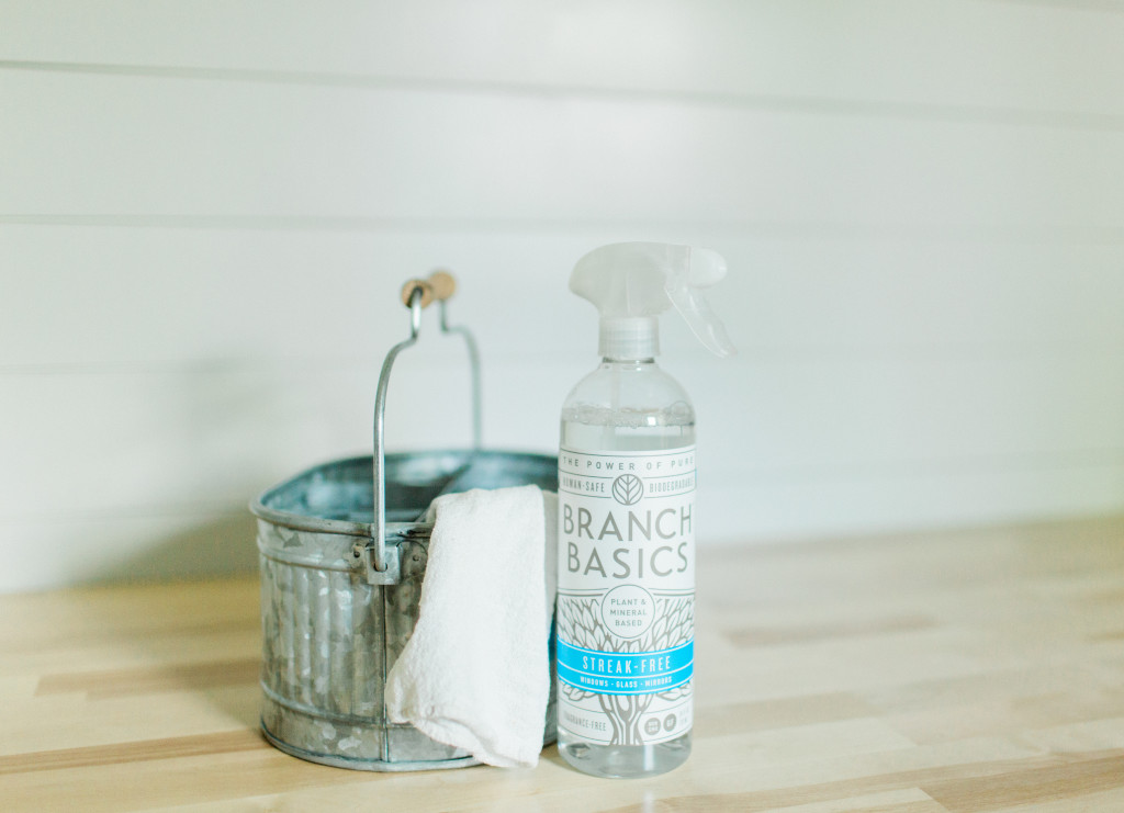 Branch Basics Review