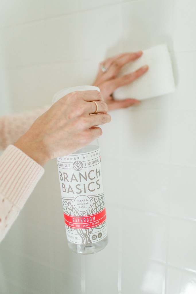 Branch Basics Review