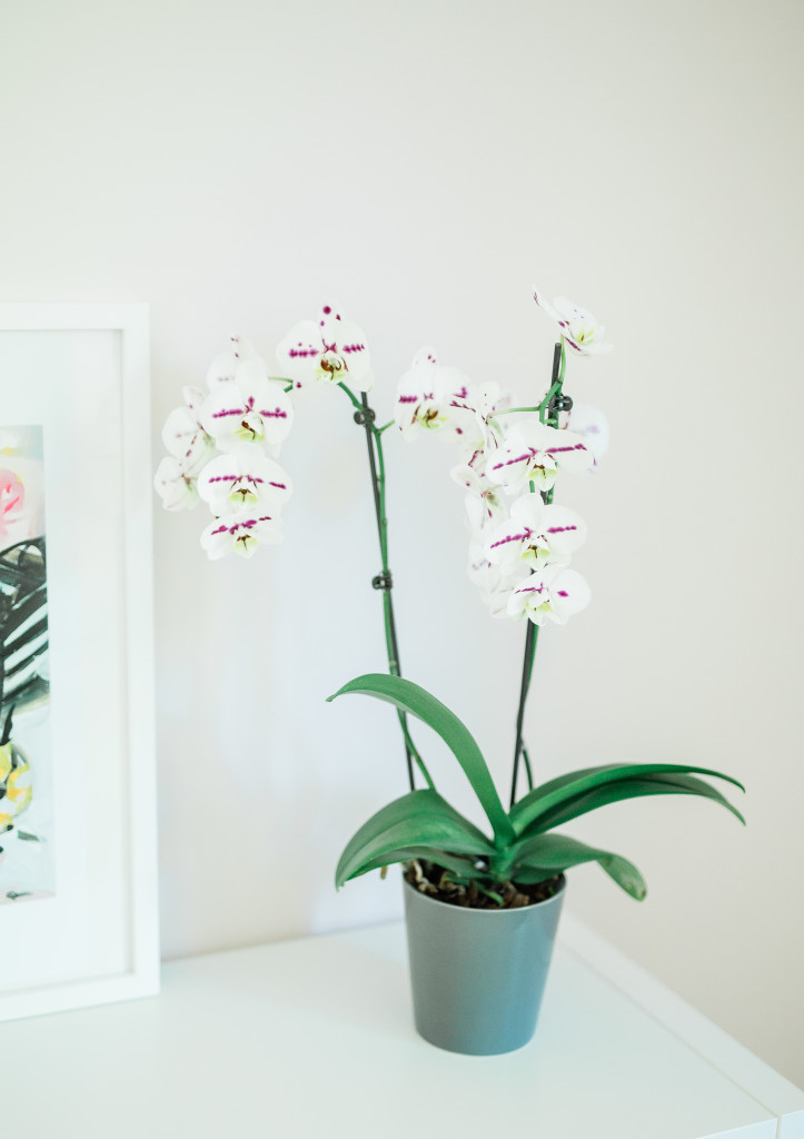 Natural Home Fragrance Methods