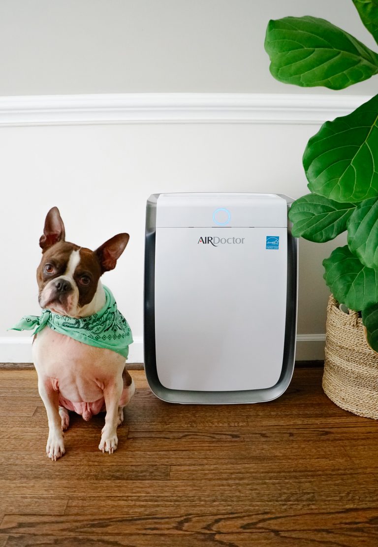 Dog wearing badana sitting next to AirDoctor air purifier