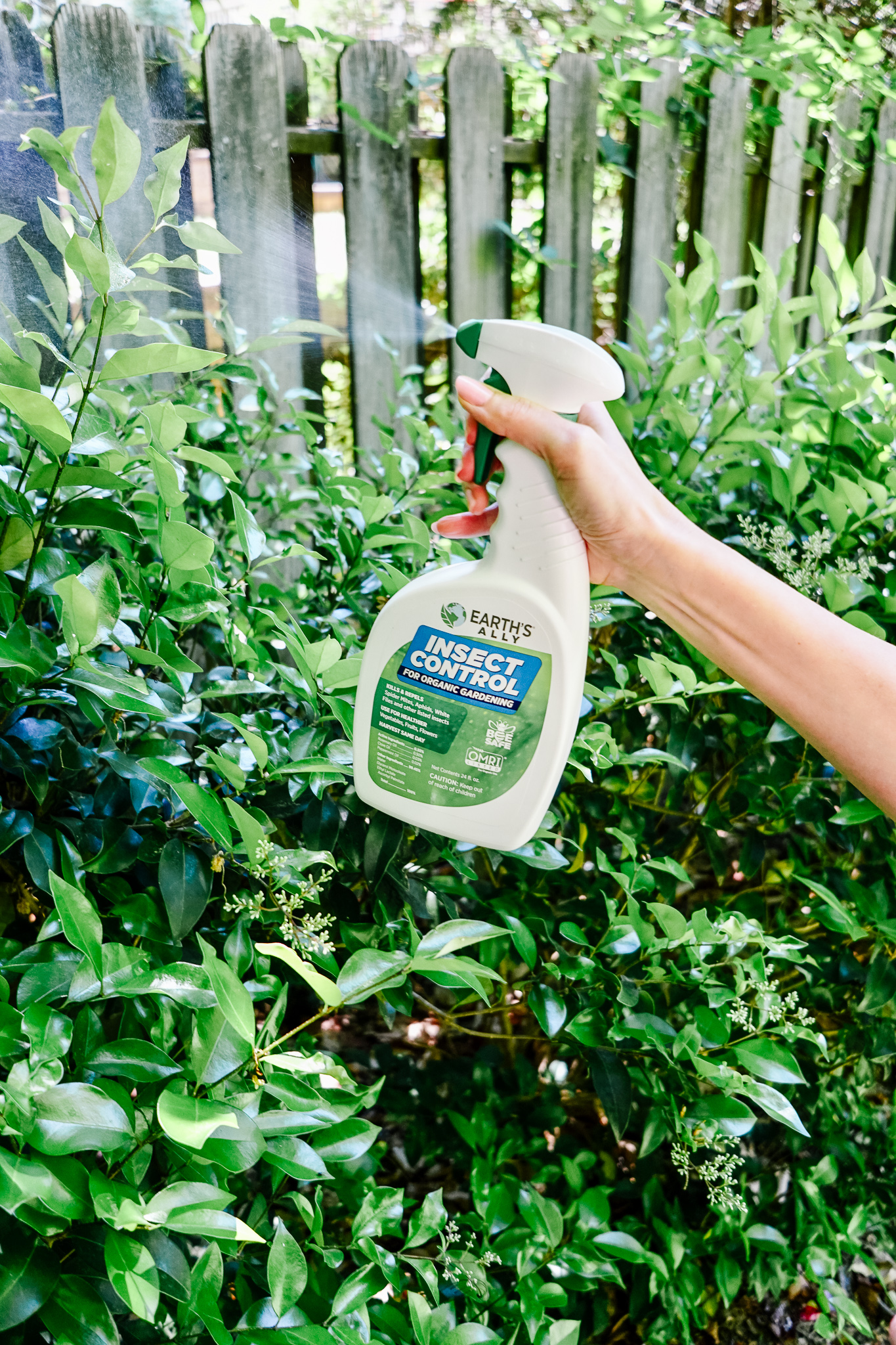Earth's Ally Insect Control: A non-toxic lawn and garden product to control insects