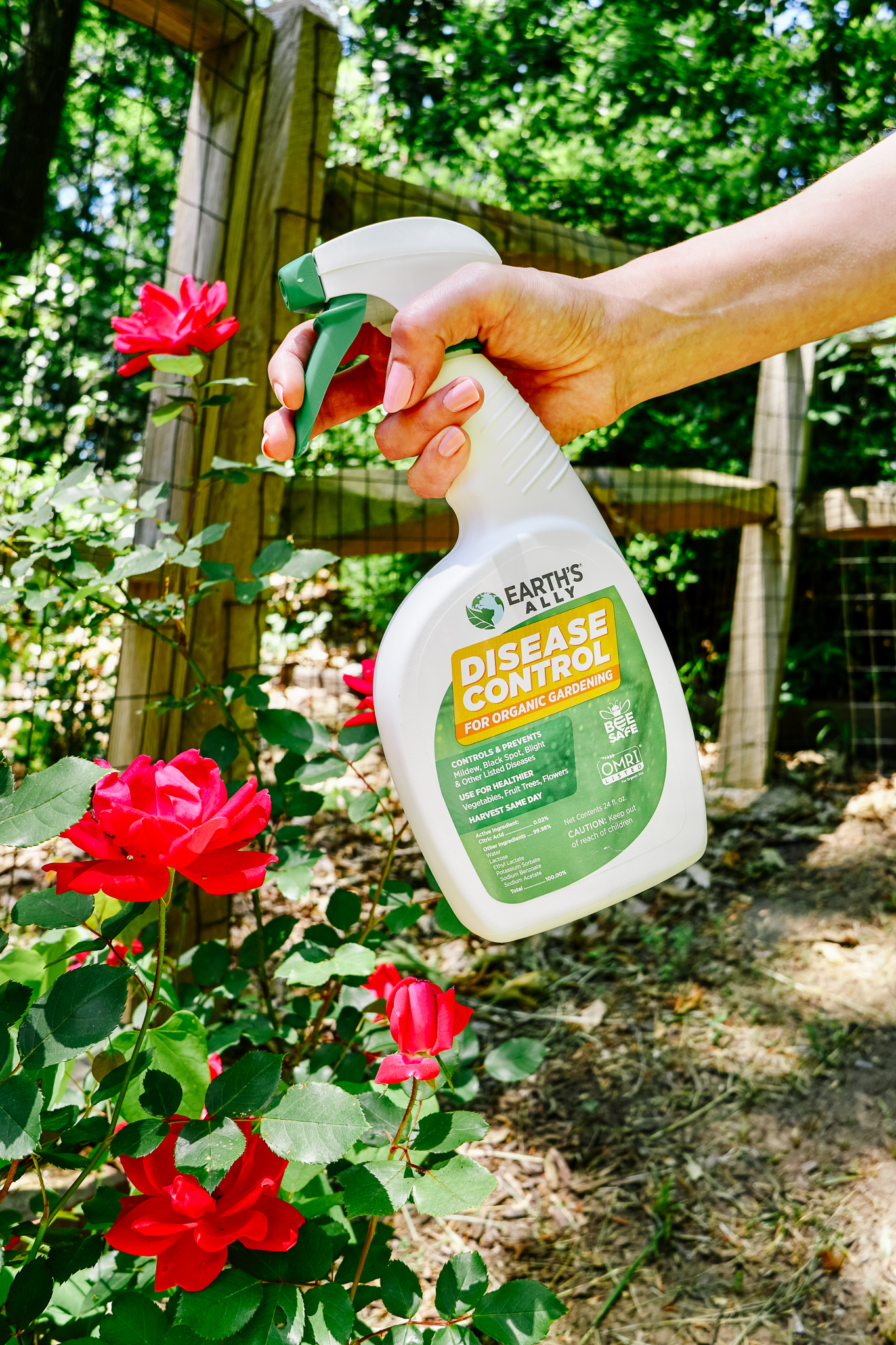 Earth's Ally Disease Control: A non-toxic product for indoor and outdoor plants