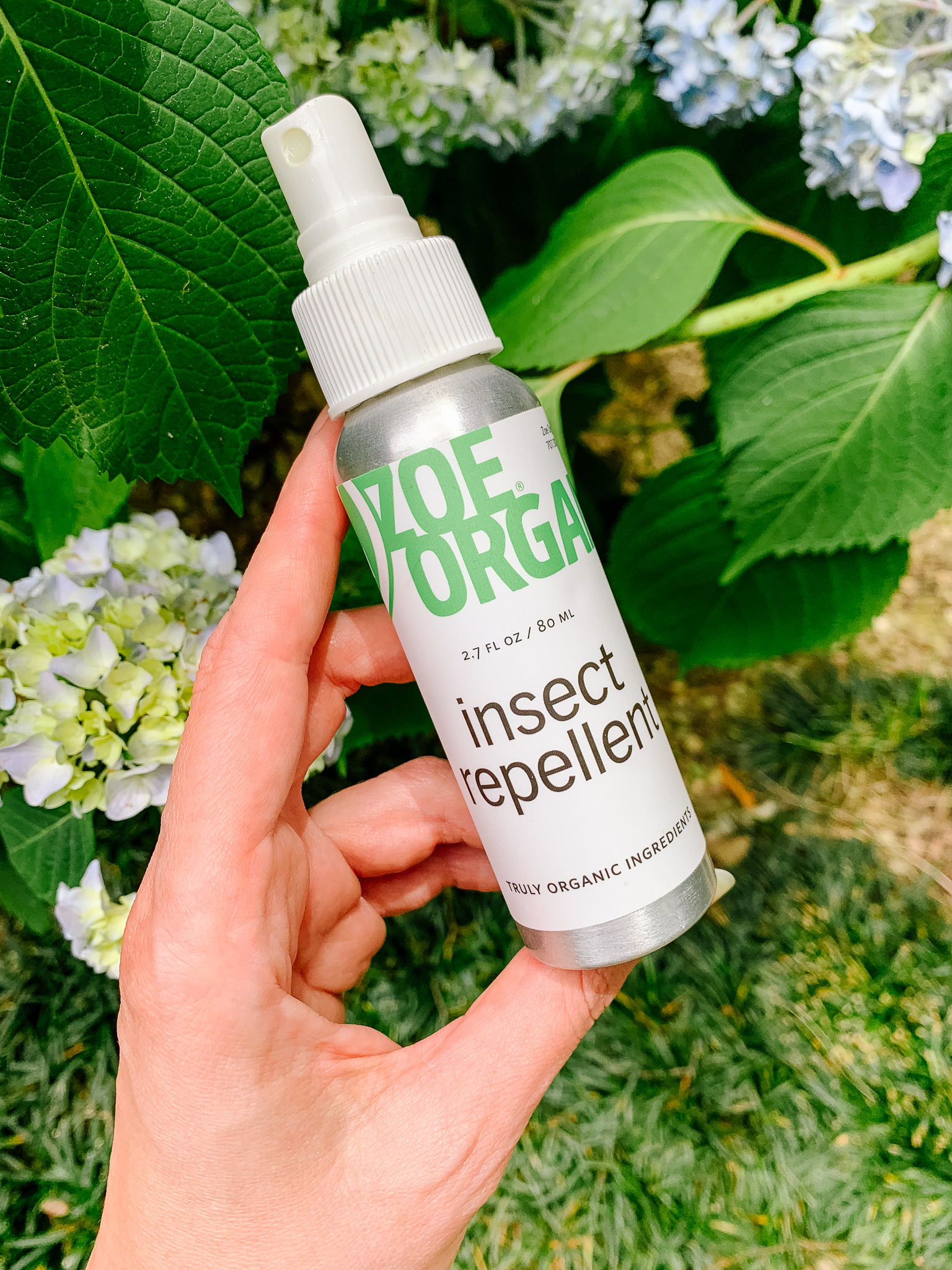 Rounding up the best natural bug repellents we've found!