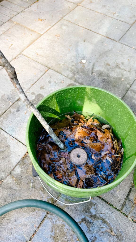 Prepared mosquito bucket of doom