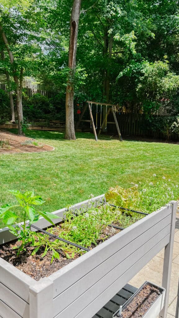 Backyard with planters and grass and other areas for mosquitos to breed