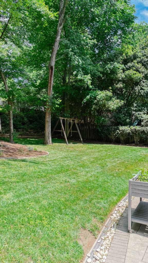 A mosquito-free backyard