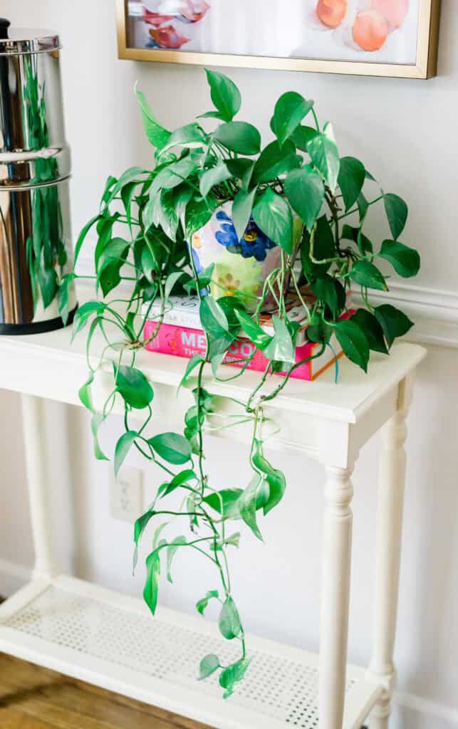 Healthiest Way To Fragrance Your Home